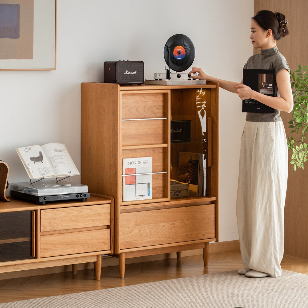 Tall Cabinet vs Low Cabinet: Which Is Better for Your Space?