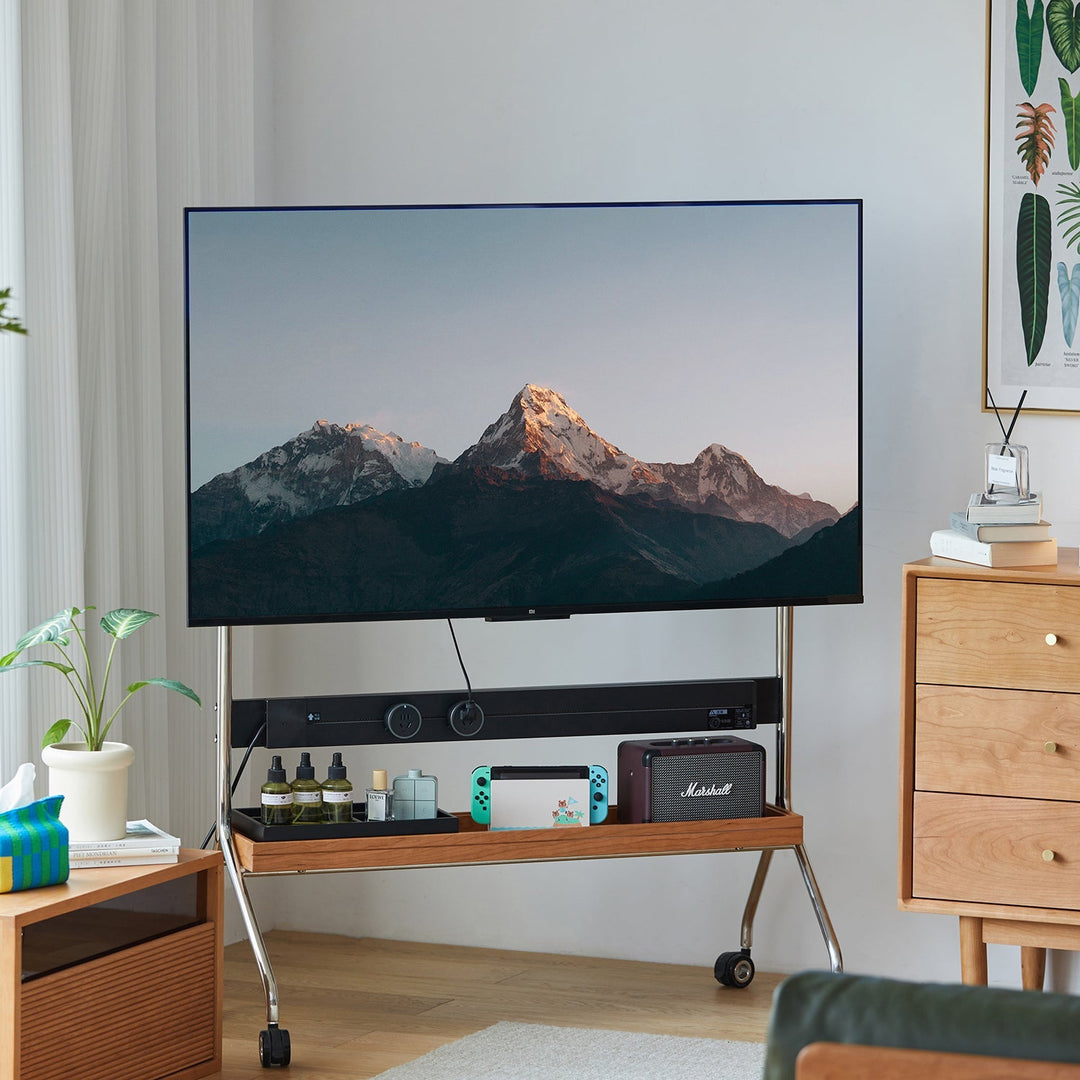 Wheel Mobility TV Consoles