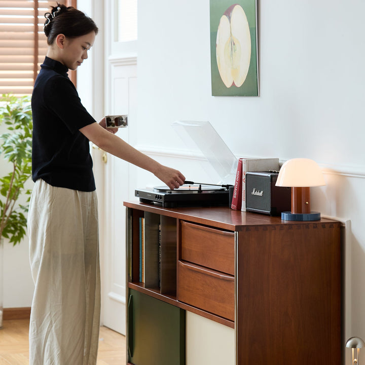 Bauhaus boxwood side cabinet silver wing in panoramic view.