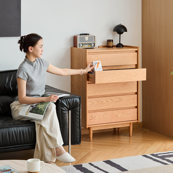 Scandinavian cherry wood chest of drawers vista environmental situation.