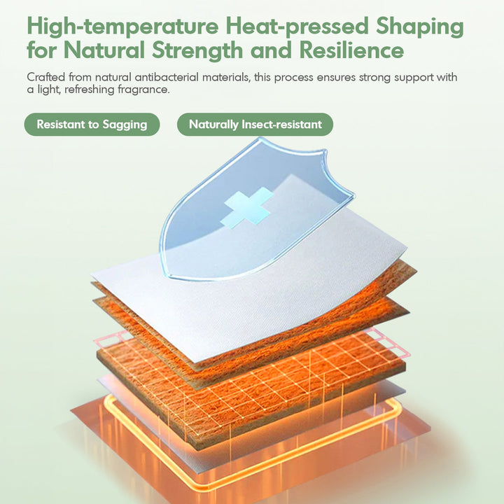 22cm Natural Latex Jute Fiber Pocket Spring Double Side Mattress FOREST