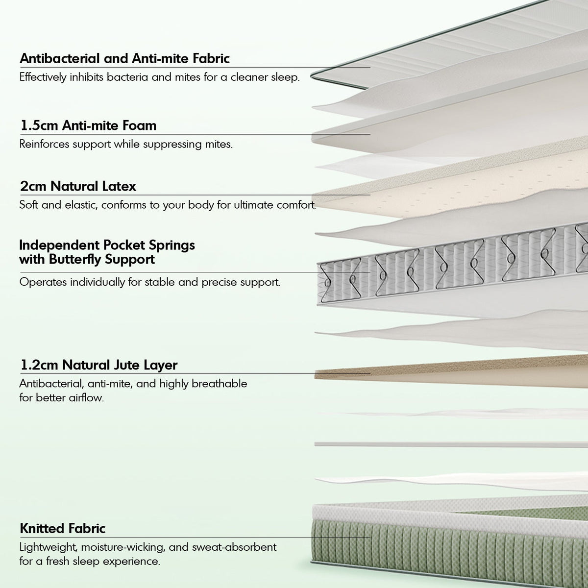 22cm natural latex jute fiber pocket spring double side mattress forest material variants.