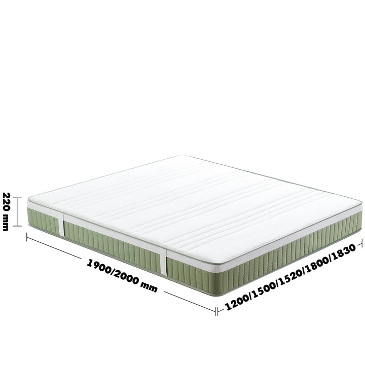 22cm Natural Latex Jute Fiber Pocket Spring Double Side Mattress FOREST