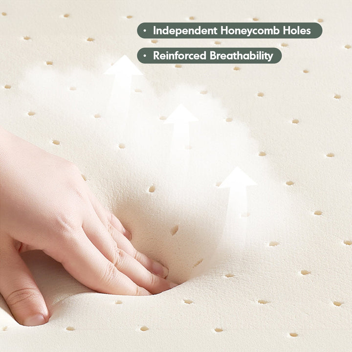 22cm Natural Latex Jute Fiber Pocket Spring Double Side Mattress FOREST