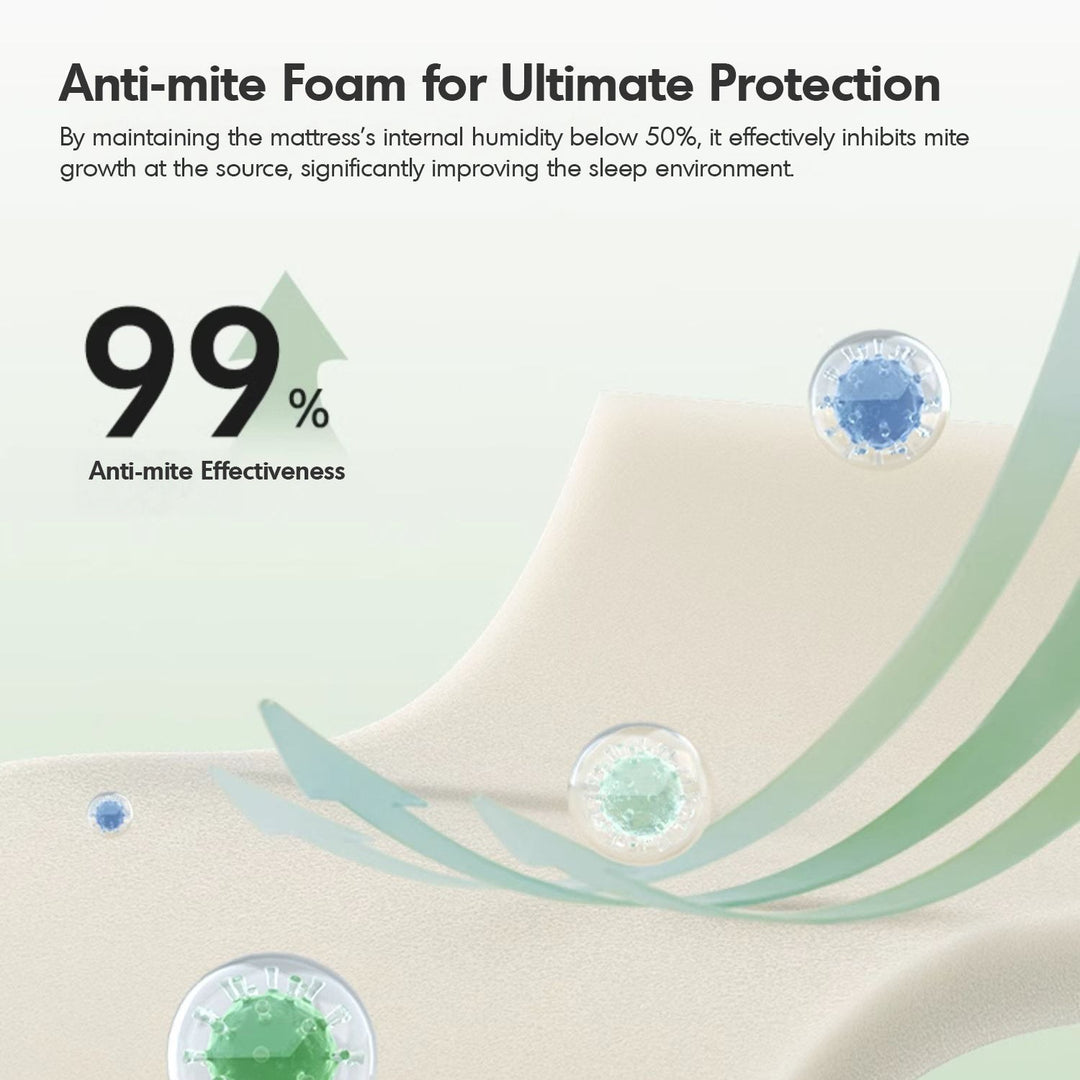 22cm Natural Latex Jute Fiber Pocket Spring Double Side Mattress FOREST