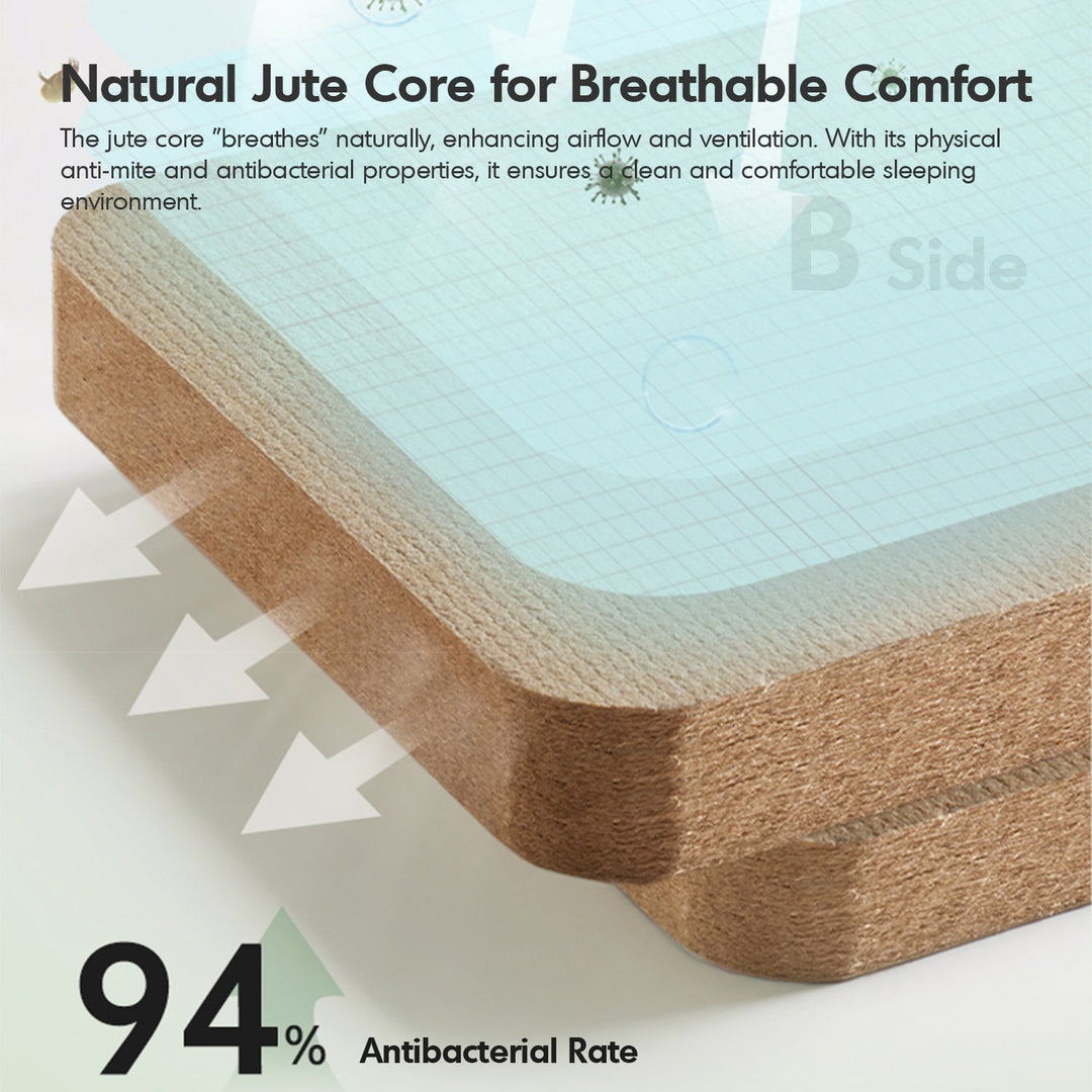 22cm Natural Latex Jute Fiber Pocket Spring Double Side Mattress FOREST