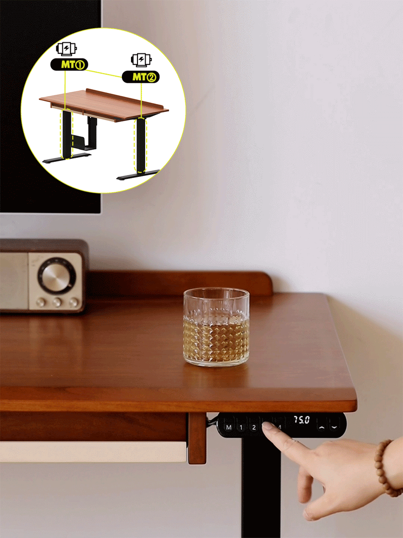 Bauhaus Boxwood Electric Height Adjustable Study Table ELEVATE More Details and Instruction_2