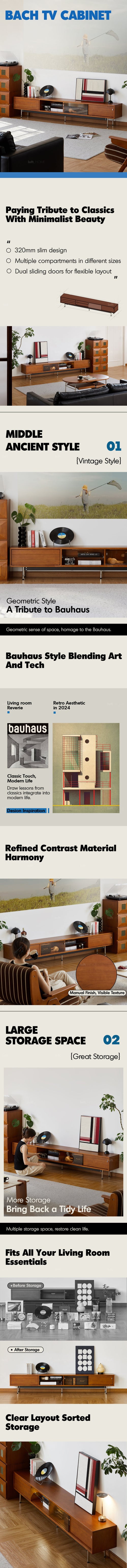 Bauhaus Boxwood TV Console BACH Good to Know Preview-1