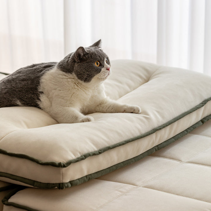 Scandinavian Premium Cat Scratch Resistant Fabric Removable Sofa Cover