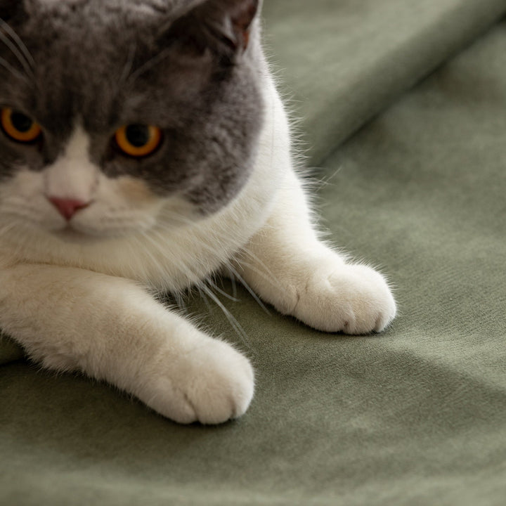 Scandinavian Premium Cat Scratch Resistant Fabric Removable Sofa Cover