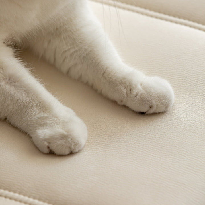 Scandinavian Premium Cat Scratch Resistant Fabric Removable Sofa Cover