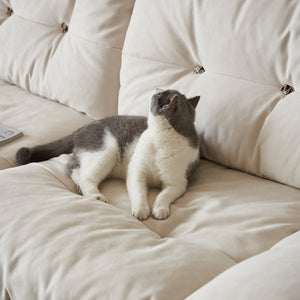 Pet Friendly Sofas