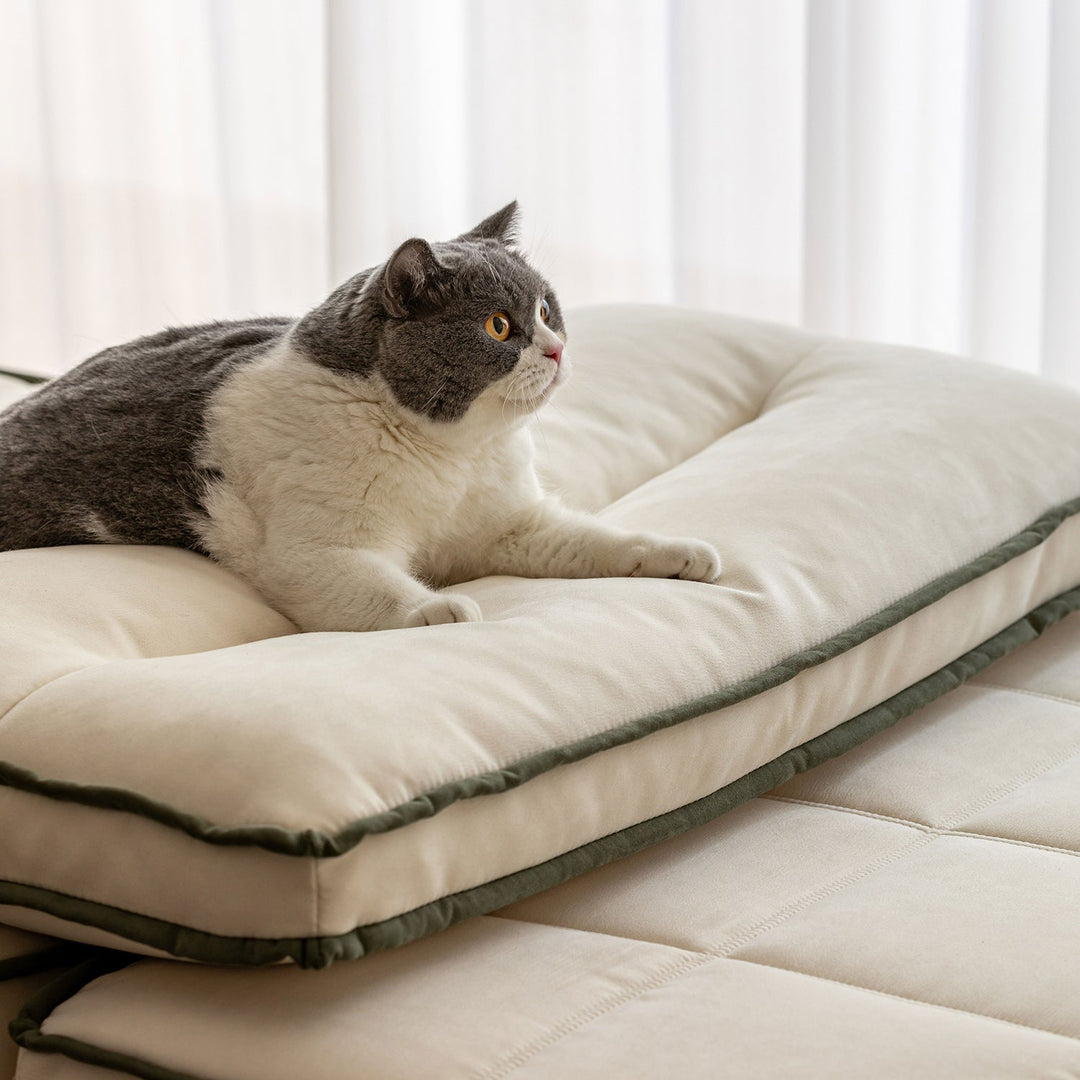 Scandinavian cat scratch resistant fabric modular 1 seater sofa tiered detail 12.