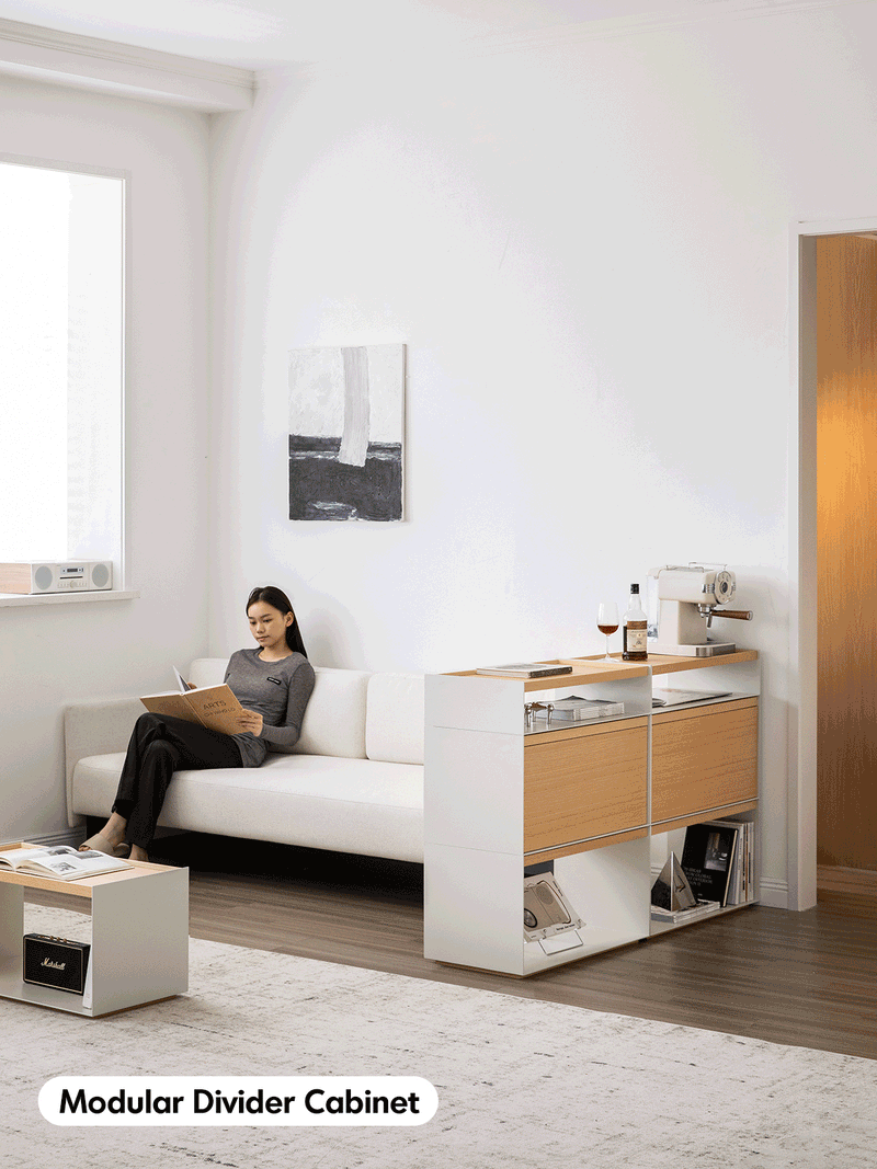 Minimalist Ash Wood Veneer Modular Cabinet AESOP More Details and Instruction_6