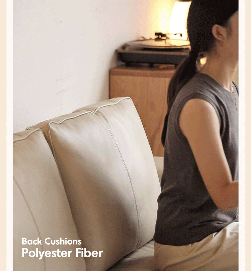 more product details and feature of Modern Genuine Leather 2 Seater Sofa Bed LINEA