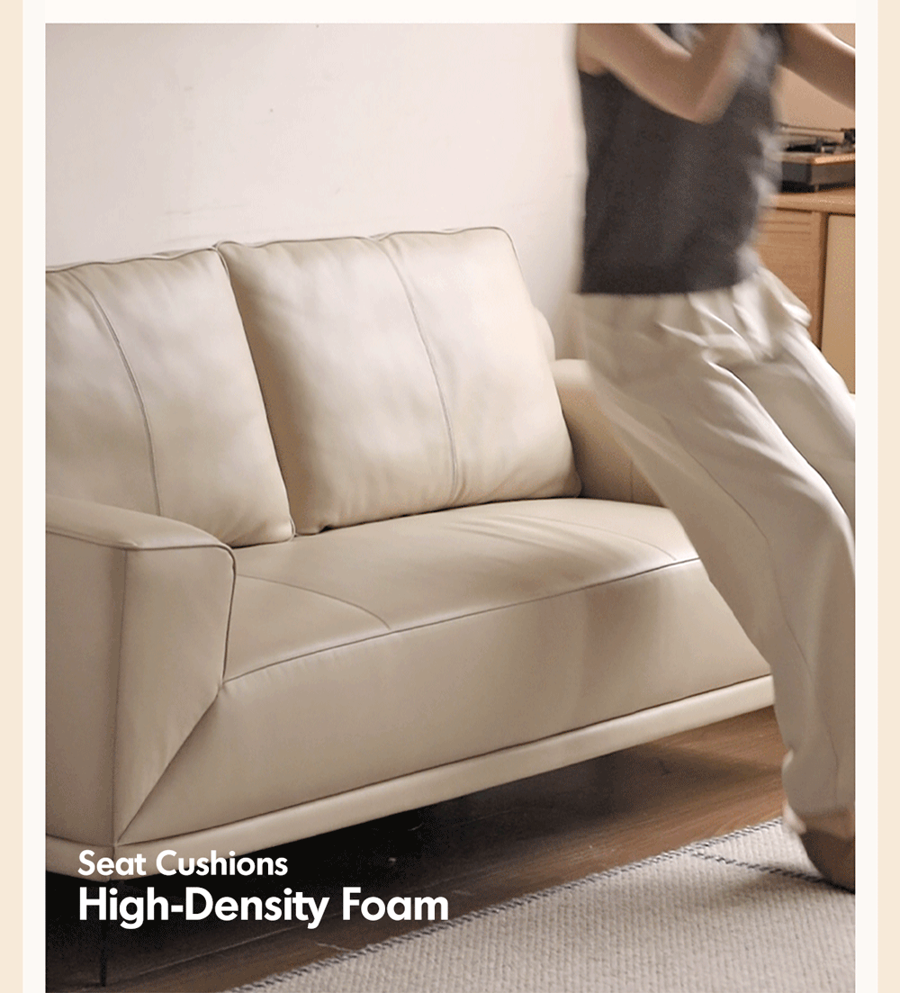 more product details and feature of Modern Genuine Leather 2 Seater Sofa Bed LINEA