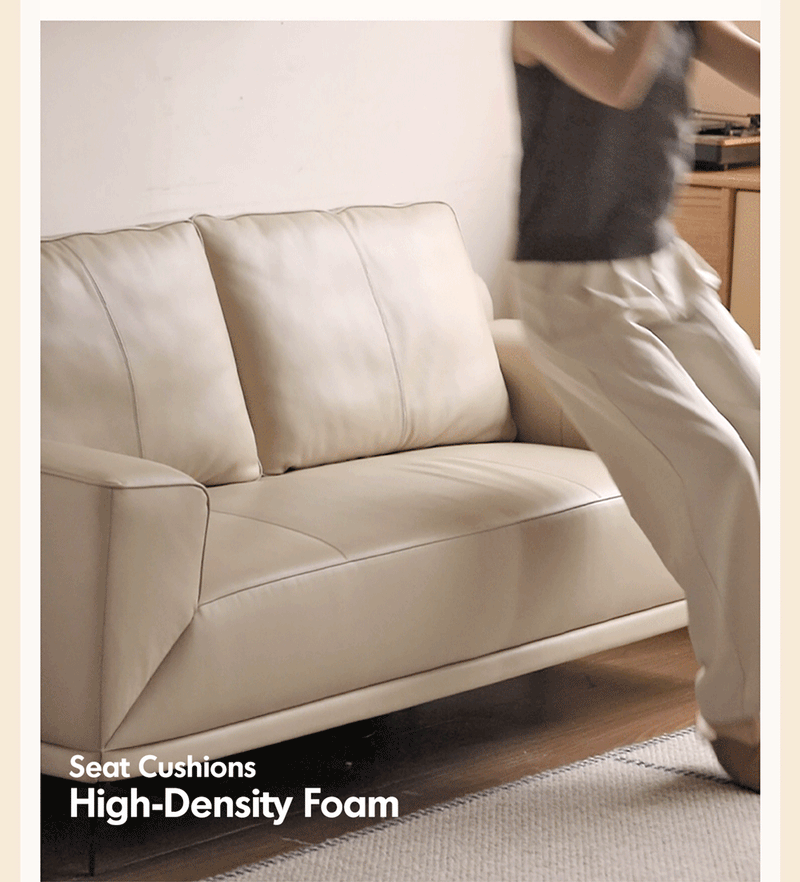 more product details and feature of Modern Genuine Leather 2 Seater Sofa Bed LINEA