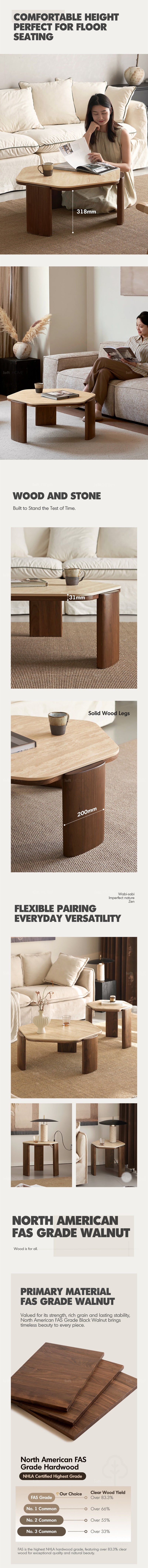 more product details and feature of Japandi Sintered Stone Coffee Table Set SILENCE