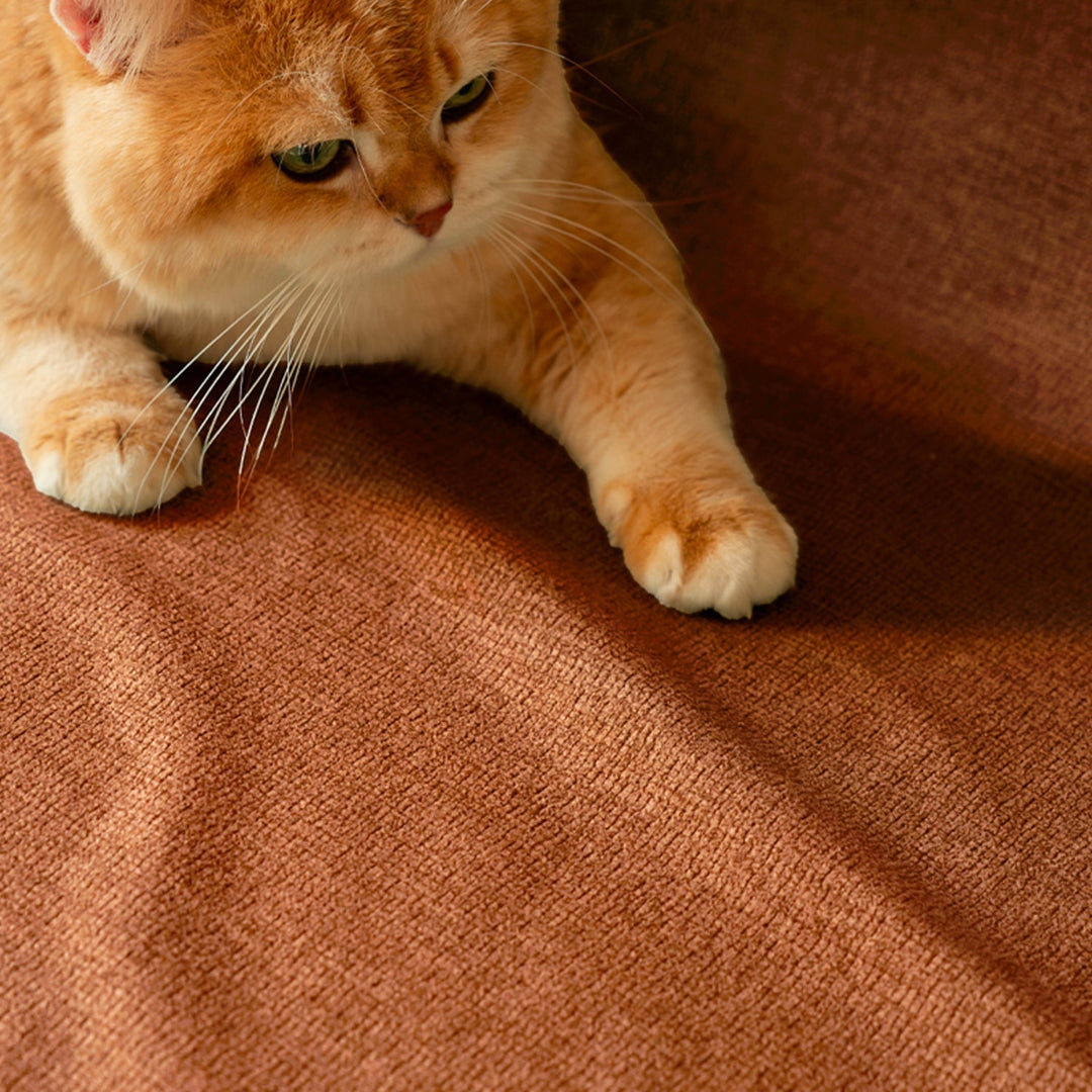 Removable Fabric Sofa Cover For MOCHI Sofa