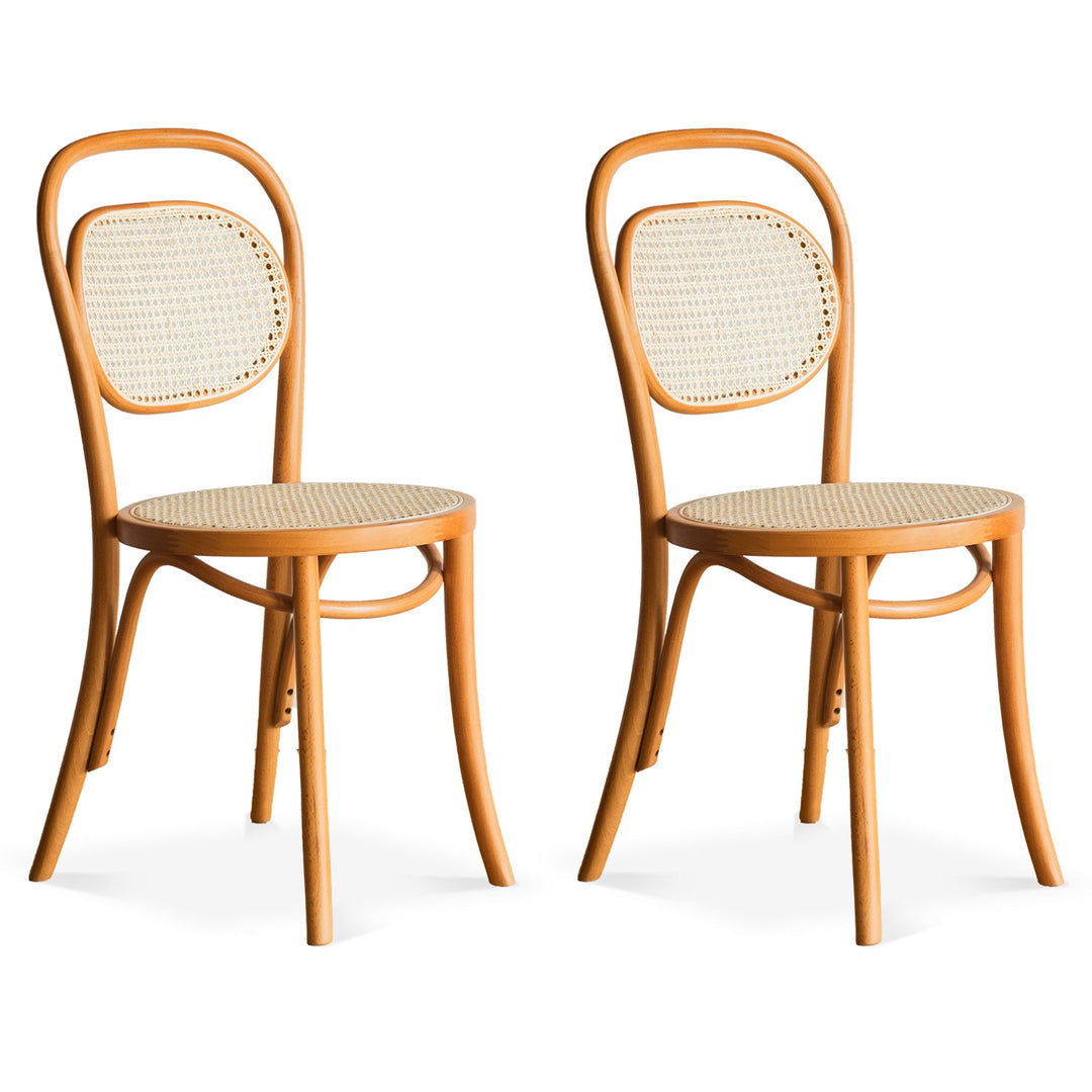 Scandinavian rattan dining chair german situational feels.