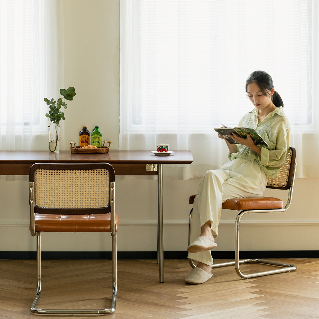 Vintage Rattan PU Leather Dining Chair HOH XIL