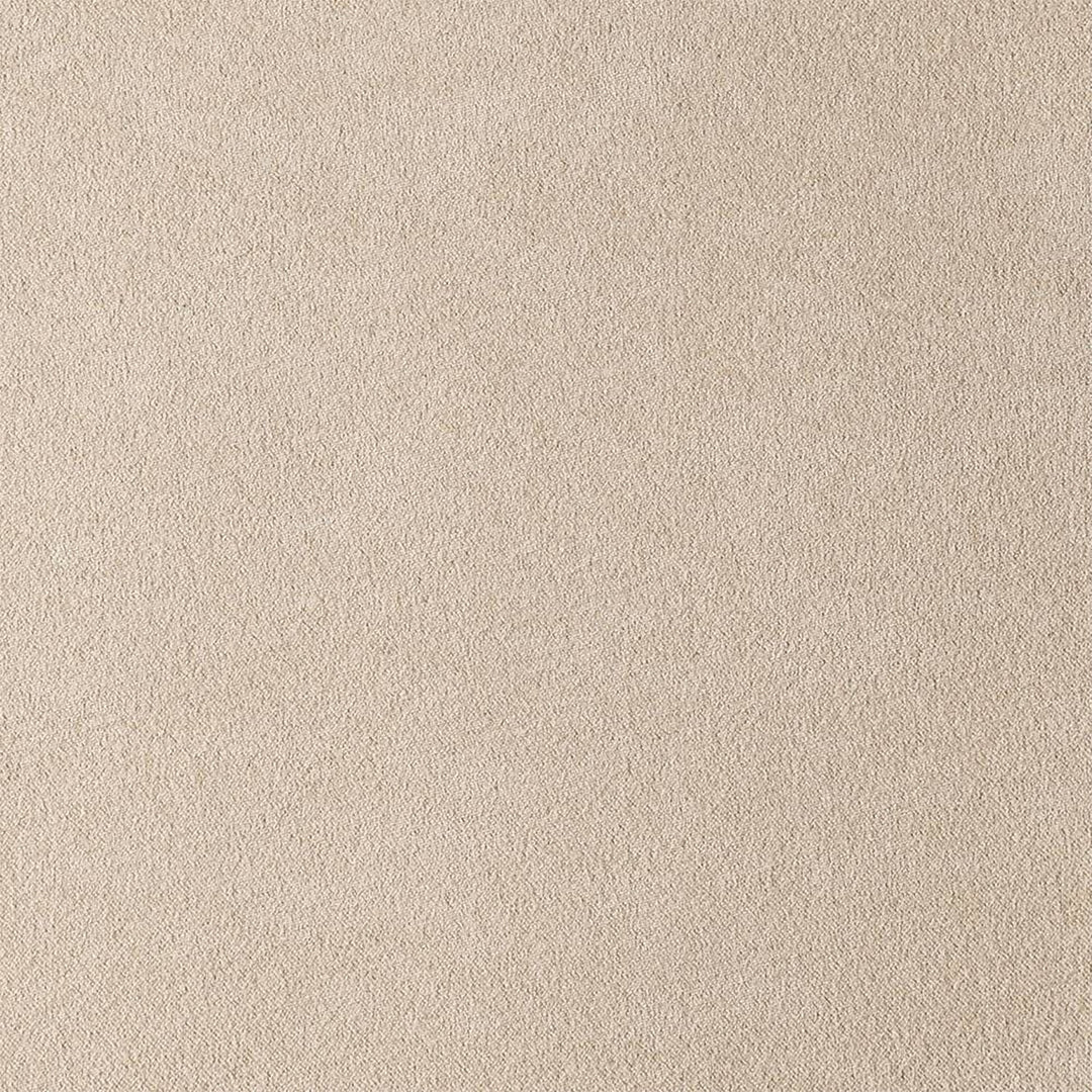 Scandinavian Premium Cat Scratch Resistant Fabric Removable Sofa Cover