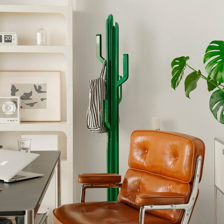 Bauhaussteel clothes hanger cactus in white background.