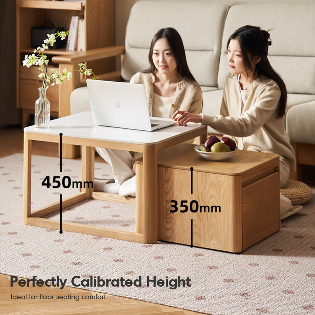 Minimalist Ash Wood Sintered Stone Coffee Table Set HAVEN