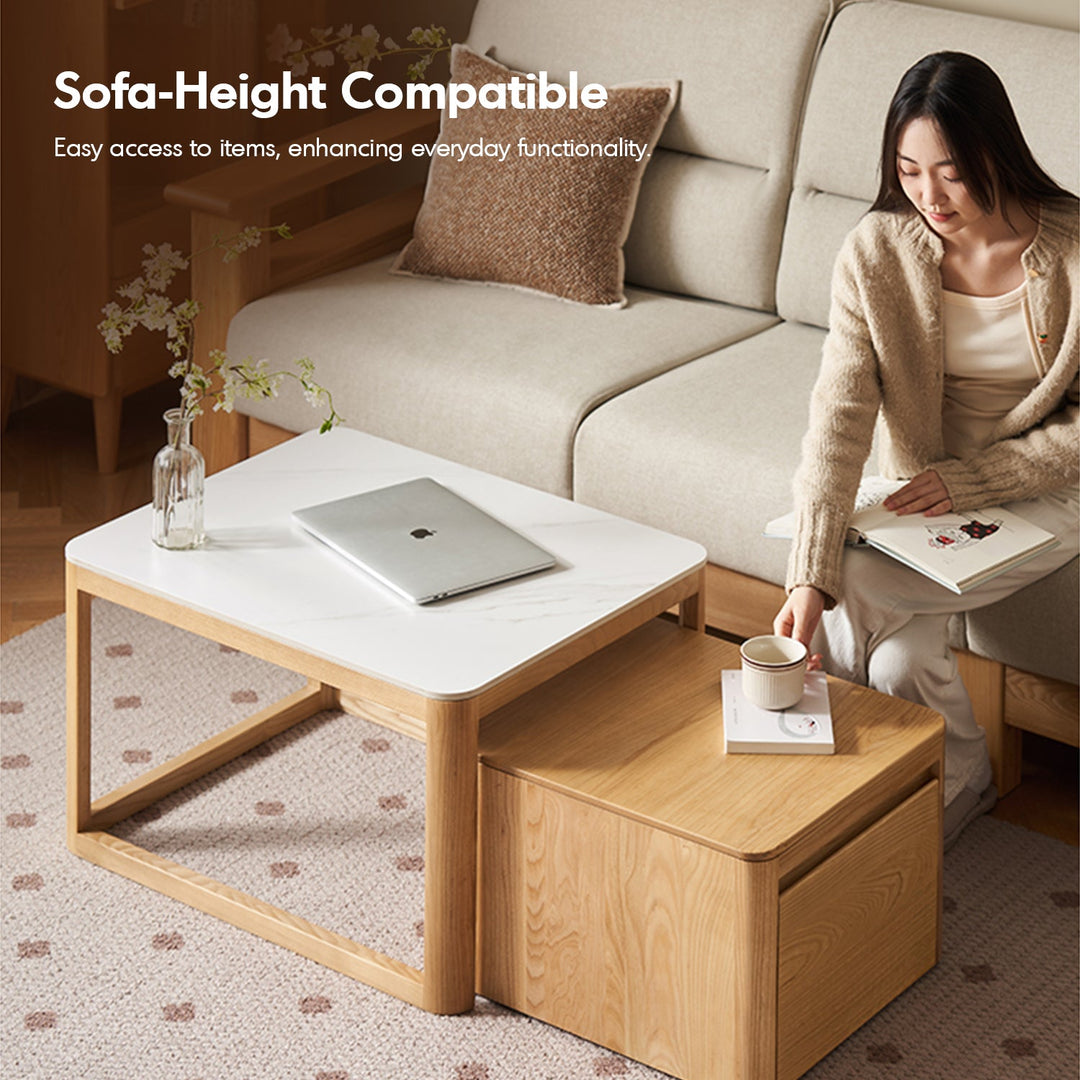 Minimalist Ash Wood Sintered Stone Coffee Table Set HAVEN