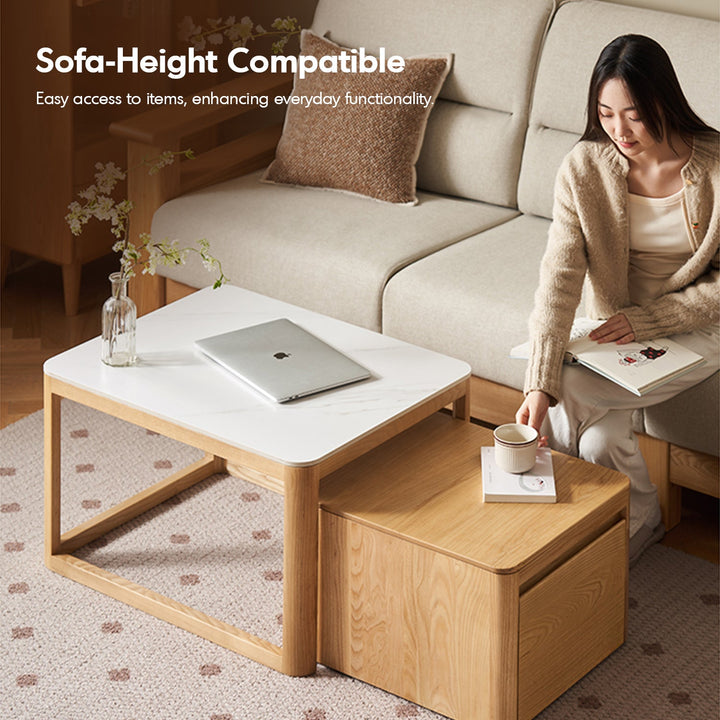 Minimalist Ash Wood Sintered Stone Coffee Table Set HAVEN