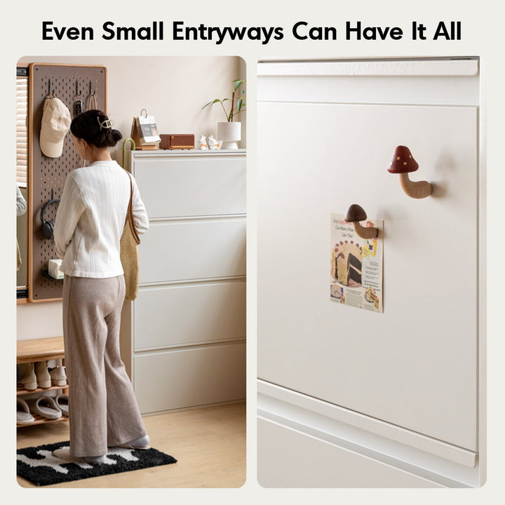 Minimalist Steel Shoe Cabinet SLIM