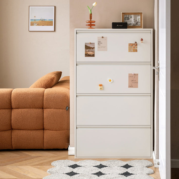 Minimalist Steel Shoe Cabinet SLIM