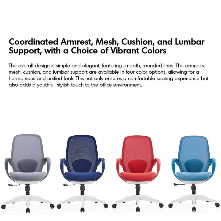 Modern Mesh Ergonomic Office Chair CONCH