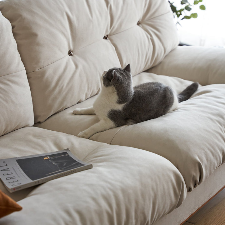 Scandinavian Cat Scratch Resistant Fabric 2 Seater Sofa NIMBUS