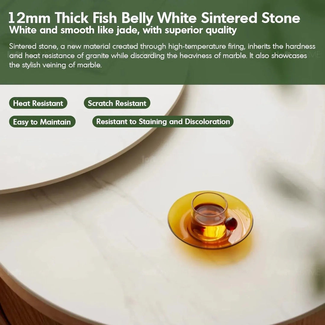 Scandinavian sintered stone coffee table wendel in panoramic view.