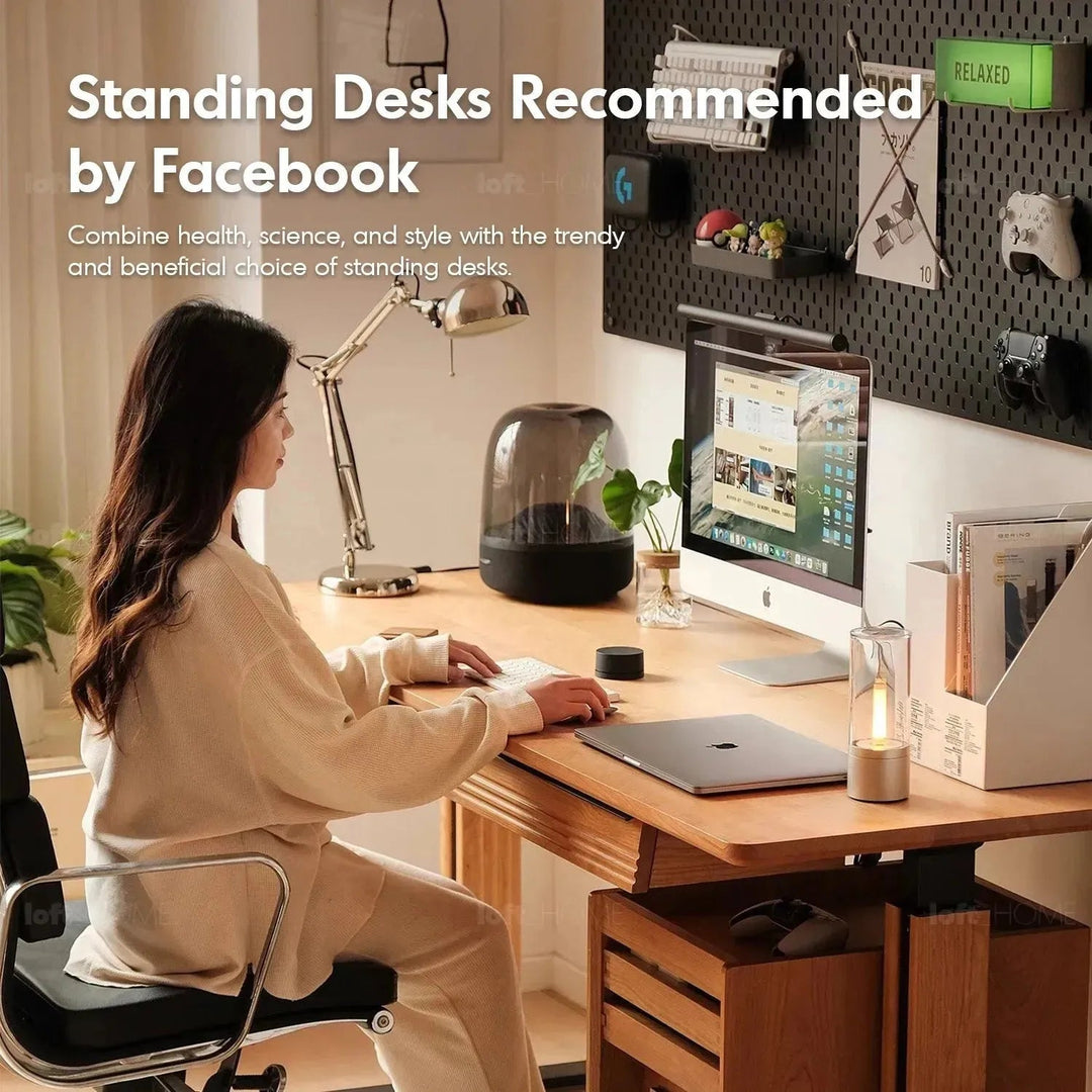 Scandinavian Sintered Stone Electric Height Adjustable Study Table ENCHANTED