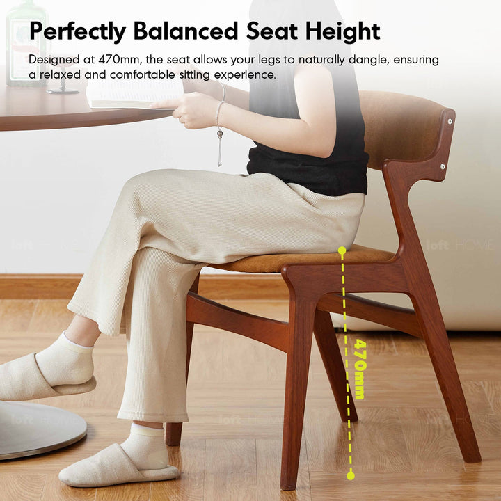 Vintage Beech Wood Chenille Velvet Fabric Dining Chair ZETA