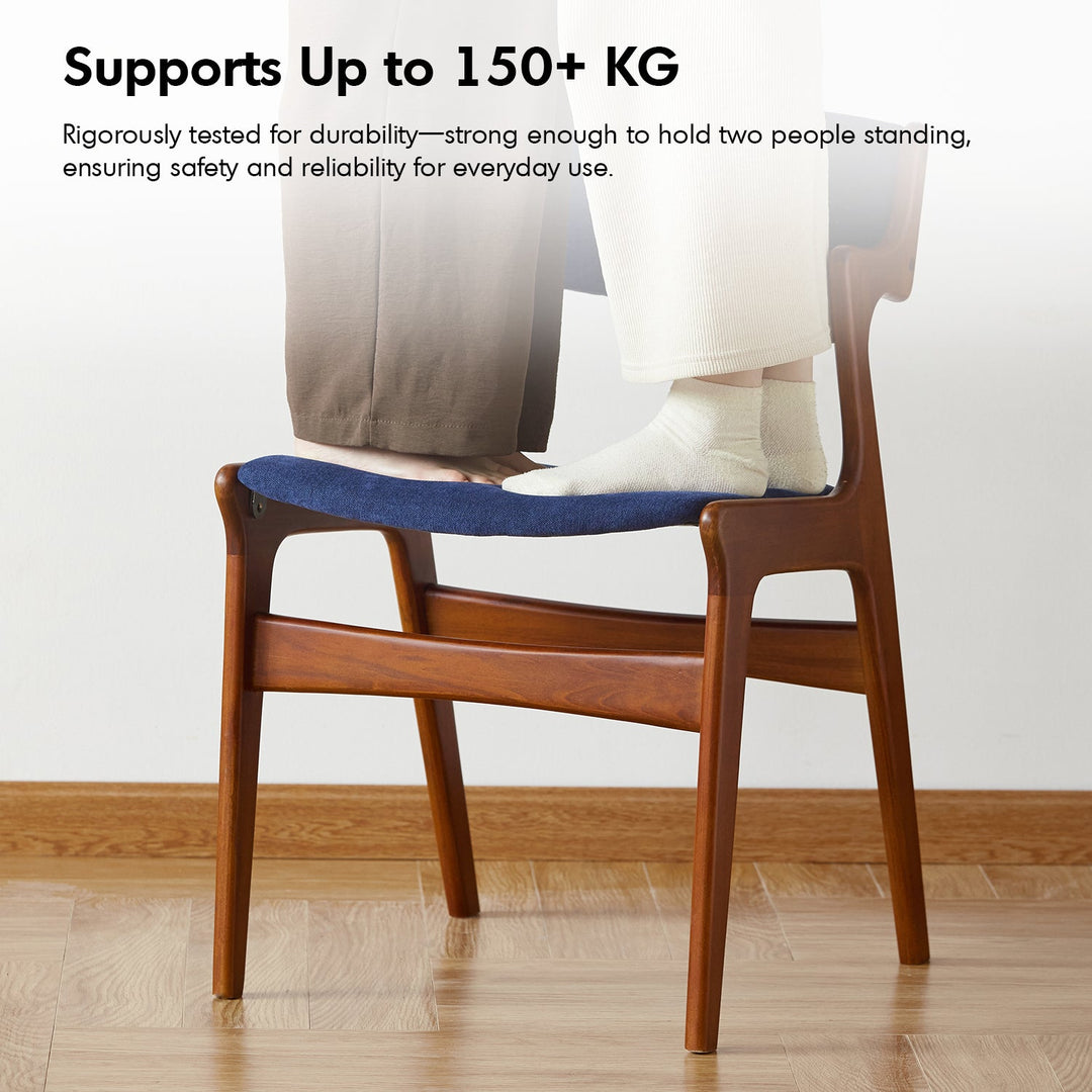 Vintage Beech Wood Chenille Velvet Fabric Dining Chair ZETA