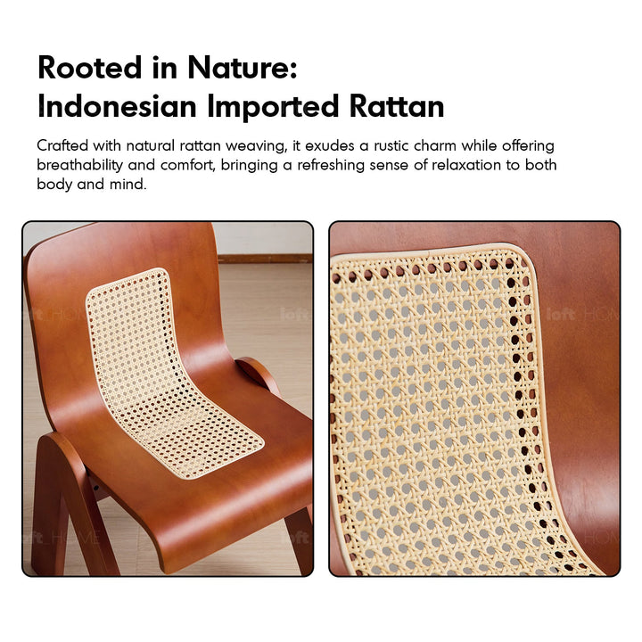 Vintage boxwood rattan dining chair fanko conceptual design.