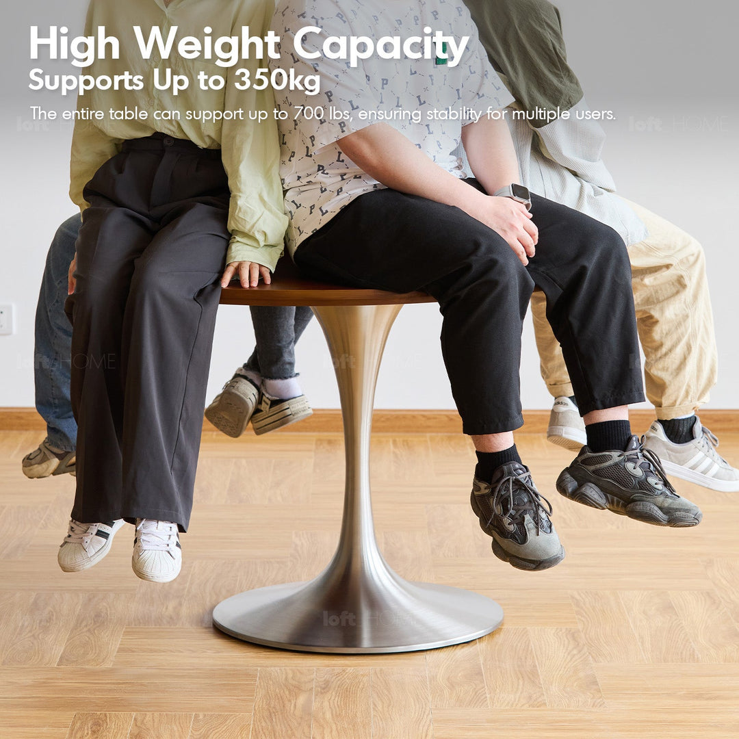 Vintage Boxwood Stainless Steel Round Dining Table TULIP