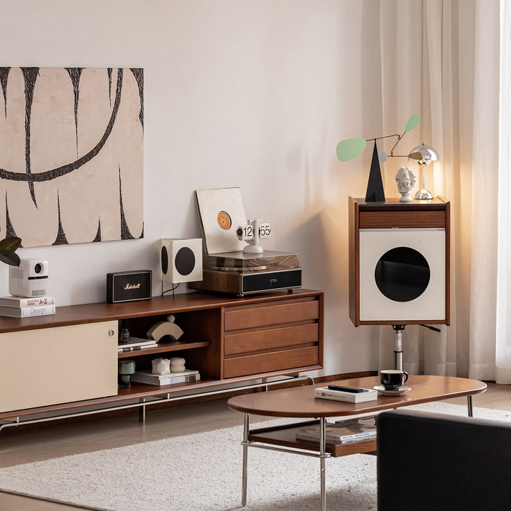 Vintage Boxwood Sliding Door TV Console MOONRISE