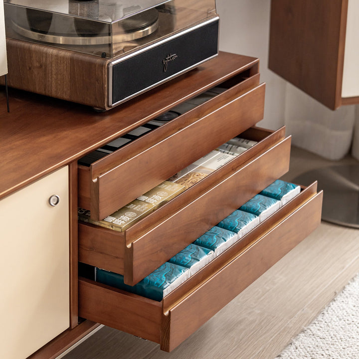 Bauhaus boxwood sliding door tv console moonrise in details.