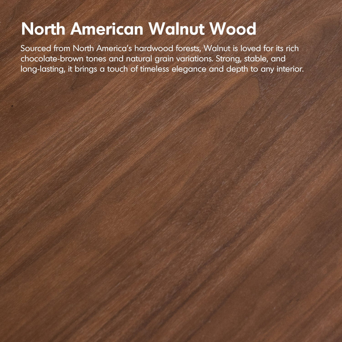 more color details of Japandi Walnut Wood Dining Bench CONTI