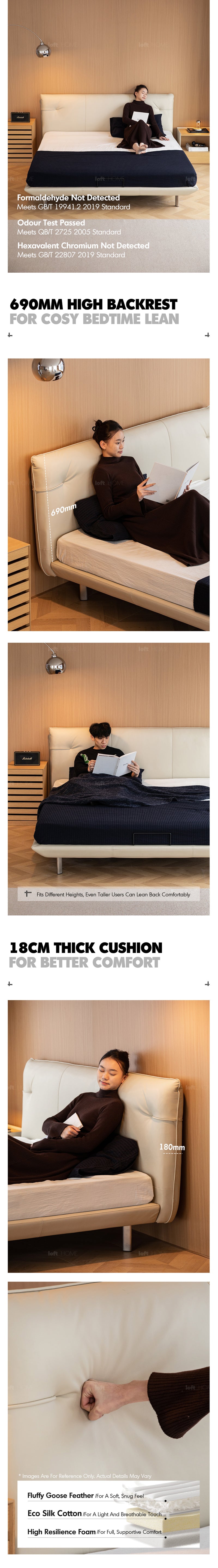 more product details and feature of Minimalist Genuine Leather Bed RHINE
