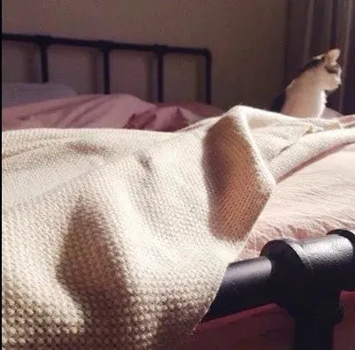 Industrial Steel Bed PIPE