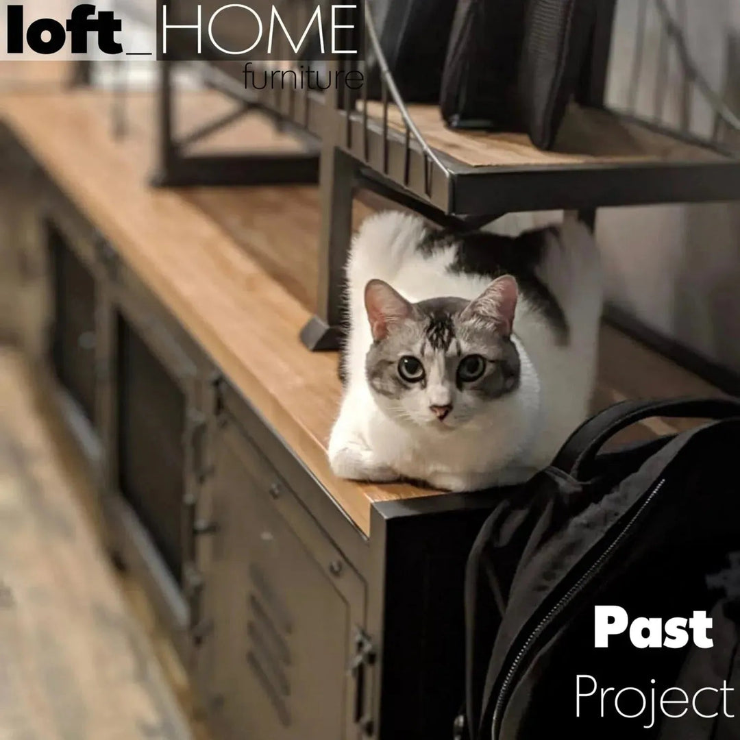 Industrial Steel TV Console MYSTEEL