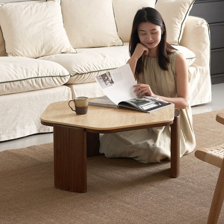 Japandi sintered stone coffee table set silence color swatches.