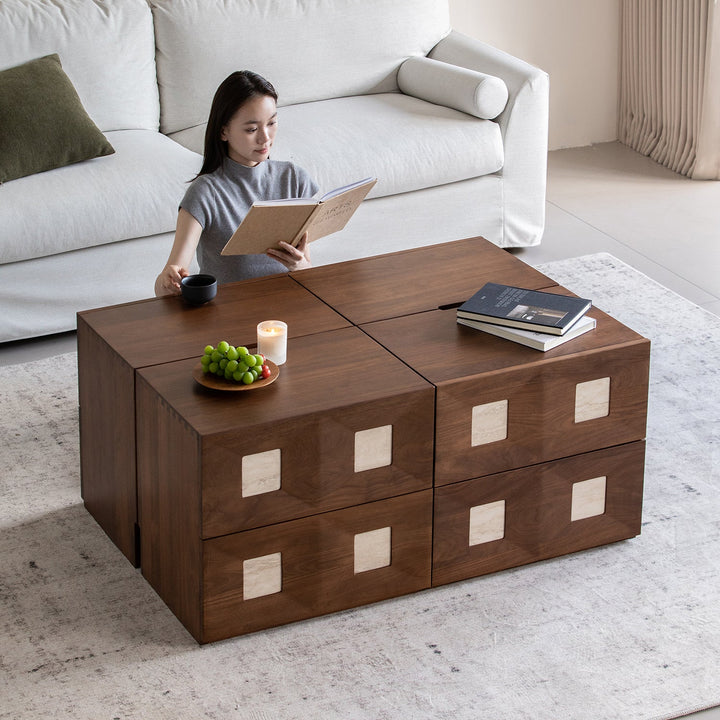 Japandi walnut wood modular cabinet solo in panoramic view.