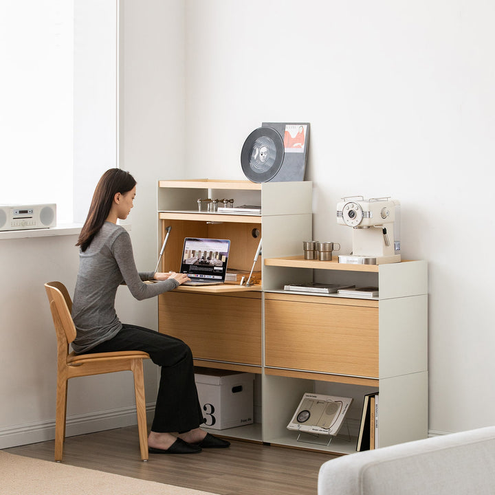 Minimalist ash wood veneer modular cabinet aesop primary product view.