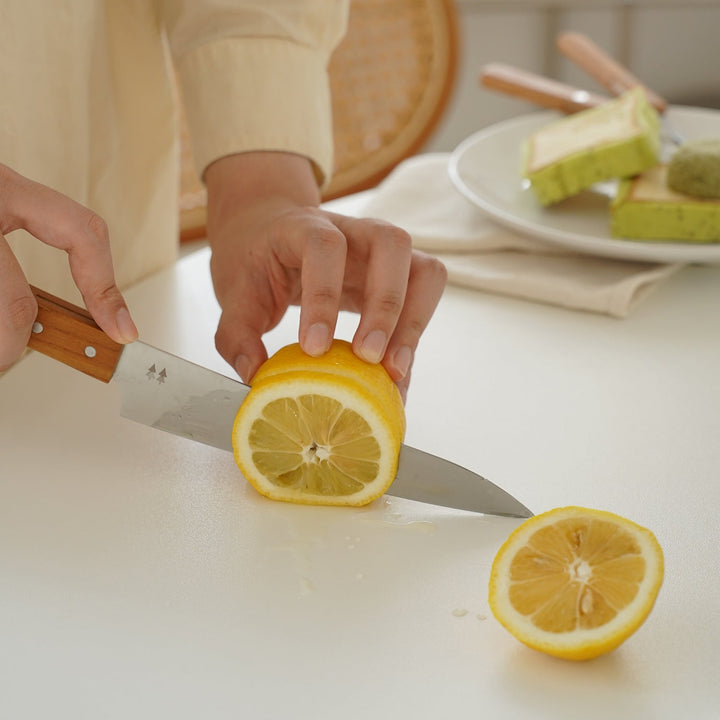 Minimalist Plywood Round Dining Table TULIP